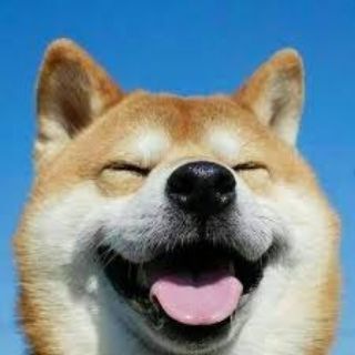 Telegram group profile photo for ZX买卖/宣传群