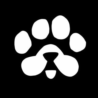 Telegram profile photo for AirDrop UZB
