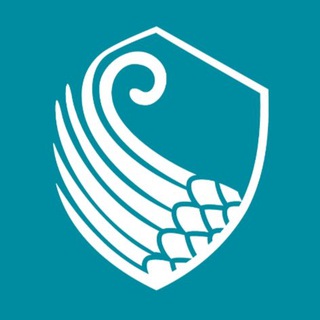 Telegram profile photo for برندزکافه🛡️