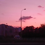 Telegram profile photo for Полина шарит