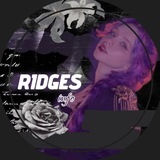 Telegram profile photo for 𝑟𝑖𝑑𝑔𝑒𝑠.𝑓𝑙𝑜𝑜𝑑 ᶦᶰᶠᵒ