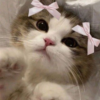 Telegram group profile photo for Взаимные подписки ❤️ пиар