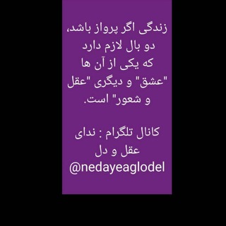Telegram profile photo for ندای عقل و دل