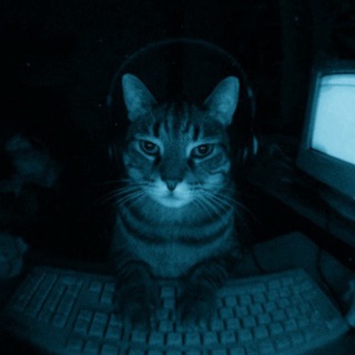 Telegram profile photo for Plug’s Vouches