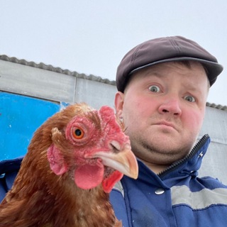 Telegram profile photo for Дневник Татарина
