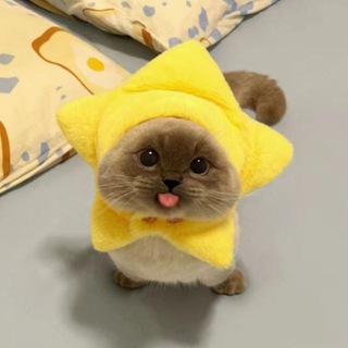 Telegram profile photo for Team Stellar-Mew