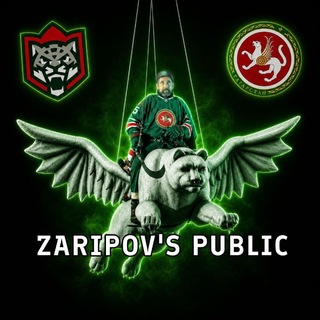 Telegram profile photo for ZARIPOV'S PUBLIC