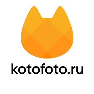Telegram profile photo for Kotofoto 🔸 Котофото 🔸 добрый магазин