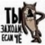 Telegram profile photo for Жизнь на коляске (оповещения)