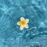 Telegram profile photo for @summer: chasing the sunny days with the calming sound of the waves.