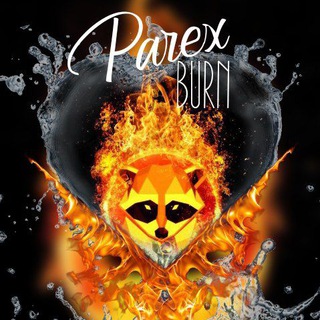 Telegram profile photo for PRX - Racoon Mining Pool