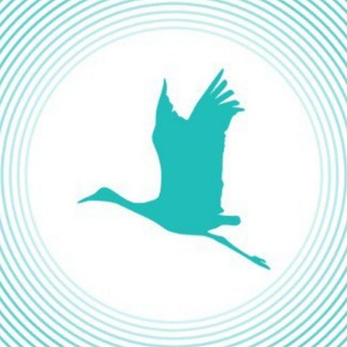 Telegram profile photo for ЗДРАВИЕ онлайн клуб