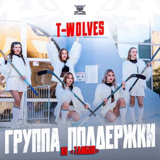 Telegram profile photo for Группа поддержки T-wolves