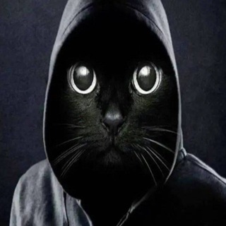 Telegram profile photo for мурмяу