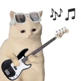 Telegram profile photo for Лотки от котенка🛐