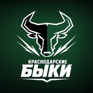 Telegram profile photo for Краснодарские быки