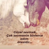 Telegram profile photo for Şiir