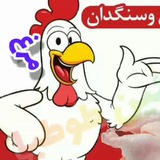 Telegram profile photo for سوپر پروتئین طوطیا