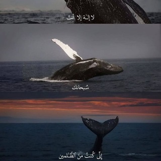 Telegram profile photo for صدقة جارية