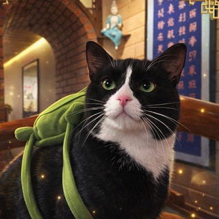 Telegram profile photo for Фан Юань печатает…