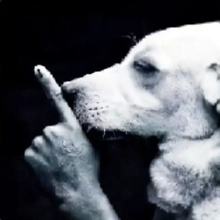 Telegram profile photo for Архив(хуил)