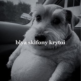 Telegram profile photo for skifony