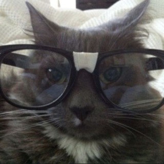 Telegram profile photo for хикхо се