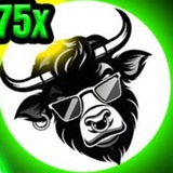Telegram profile photo for bull call