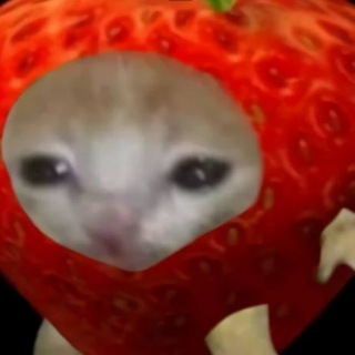 Telegram profile photo for Hewais🍓| Новости Роблокса
