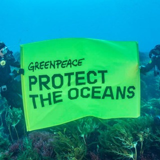 Telegram profile photo for Greenpeace on Telegram by GRT : España / France / Italia / Germany / Deutschland / Росси́я / Nederland / Brasil / International