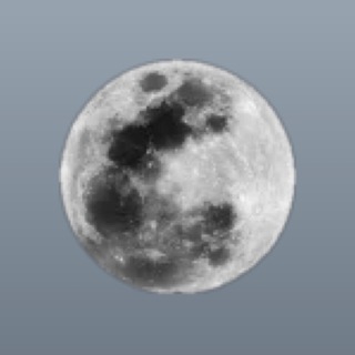 Telegram profile photo for perexod
