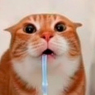 Telegram profile photo for глупости