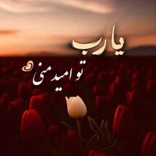 Telegram profile photo for ߊܩࡅ࡙ߺܥߊࡅ࣪ߺܘ🇵🇸