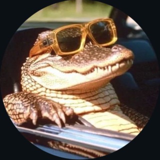 Telegram profile photo for VvT | ВовасикВтрэвэле