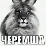 Telegram profile photo for перезапуск 𝓽𝓱𝓮 𝓯𝓲𝓻𝓼𝓽 𝓯𝓵𝓸𝔀𝓮𝓻, лайф не является действительным