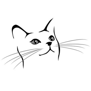 Telegram profile photo for 天天向上