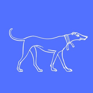 Telegram profile photo for YSYDOG