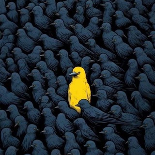 Telegram profile photo for Адаптация Джаплесса