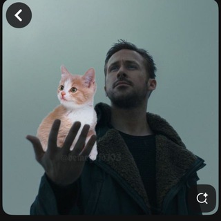 Telegram profile photo for ДозаРадості💊
