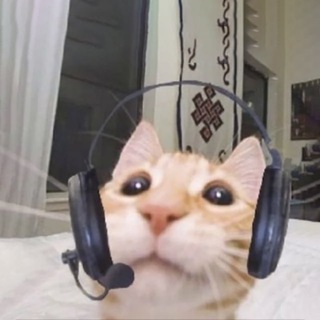 Telegram profile photo for cat call center