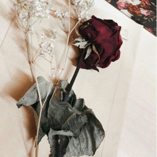 Telegram profile photo for 🌹 ريحانة الروح 🌹