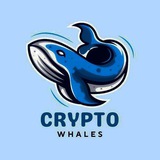 Telegram profile photo for Crypto whales call channel 🐳🐳🐳https://t.me/+kFhr02tXNl9hNGNl💯