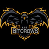 Telegram profile photo for Les BitCrows Calls
