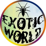 Telegram profile photo for 🕸️Мир Насекомых🦂