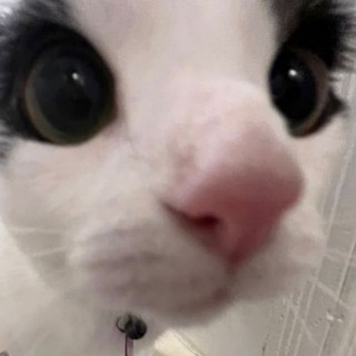 Telegram profile photo for уеу прайс