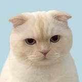 Telegram profile photo for Pencil✍🏻📑