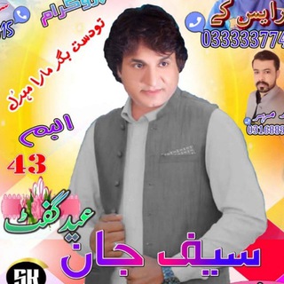 Telegram profile photo for 🎶🎷🎸کانال رسمی سیف جان🎸🎶🎺