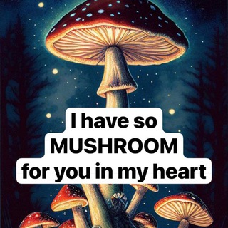 Telegram profile photo for Die mit dem Pilz spricht 🍄