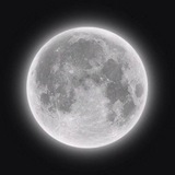 Telegram profile photo for 𝐒𝐞𝐥𝐞𝐧𝐨𝐩𝐡𝐢𝐥𝐞...