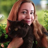 Telegram profile photo for Медведева_писатель